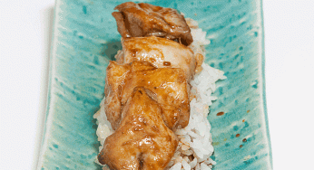 Yakitori de pollo con salsa teriyaki