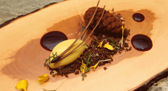 La piña del pinar