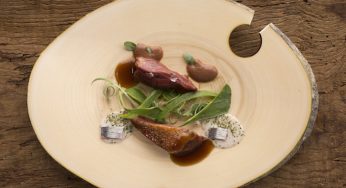 Pichón macerado en algas con emulsión de kalamata, hierbas de las marismas y crema de sardinas