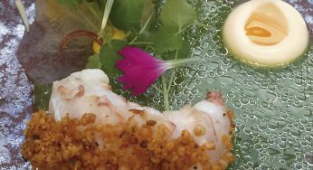 North Sea lobster cocido en kombucha con lardo Joselito
