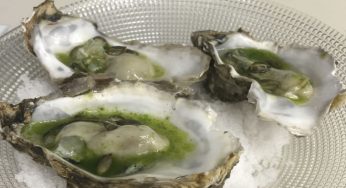 Ostra escabechada
