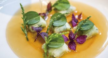 Ravioli de langostino con pepino y caldo picante