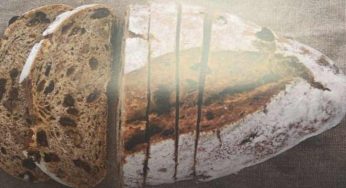 Pan de trigo, centeno, pasas y nueces
