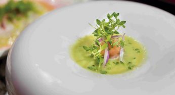 Aguachile de manzana con caballa curada en sal