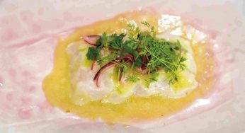 Tiradito de cabracho con emulsión de manzana, melisa y jengibre