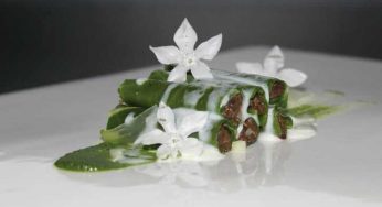 Canelón de berza pasiega y morcilla