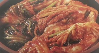 Kimchi de col china