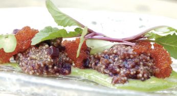 Quinoa con Remolacha