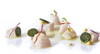 Ceviche de corvinata