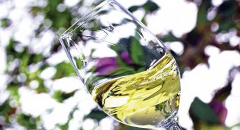 Diez vinos blancos por menos de 10 euros para combatir el calor sin incendiar el bolsillo