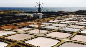 Gran Canaria, aprendiz de gourmet