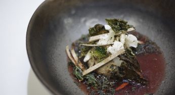 Lollo rosso, crucíferas, musgo, caldo de raíces y kasmiri masala