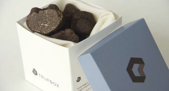 Trufa negra: del campo al domicilio