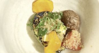 Solterito de Quinoa