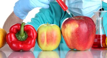 Don’t play with food: con la comida no se juega