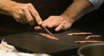 Anchoas de Santoña, anchoas del Cantábrico