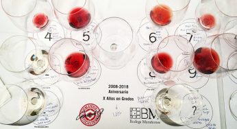 10 vinos para celebrar una década en Gredos