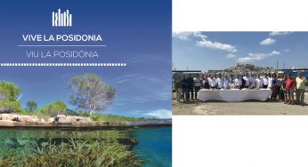 Vive la Posidonia en Ibiza