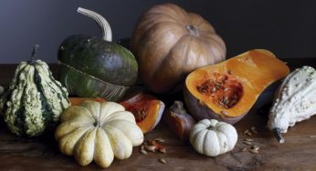 Calabazas Rellenas a la griega