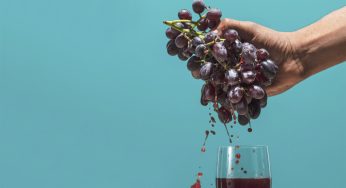 Ruta de vinos naturales en Madrid
