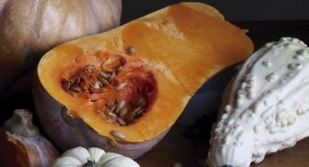 Calabazas rellenas de carne
