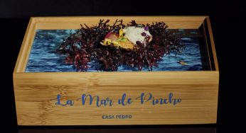 La Mar de Pincho