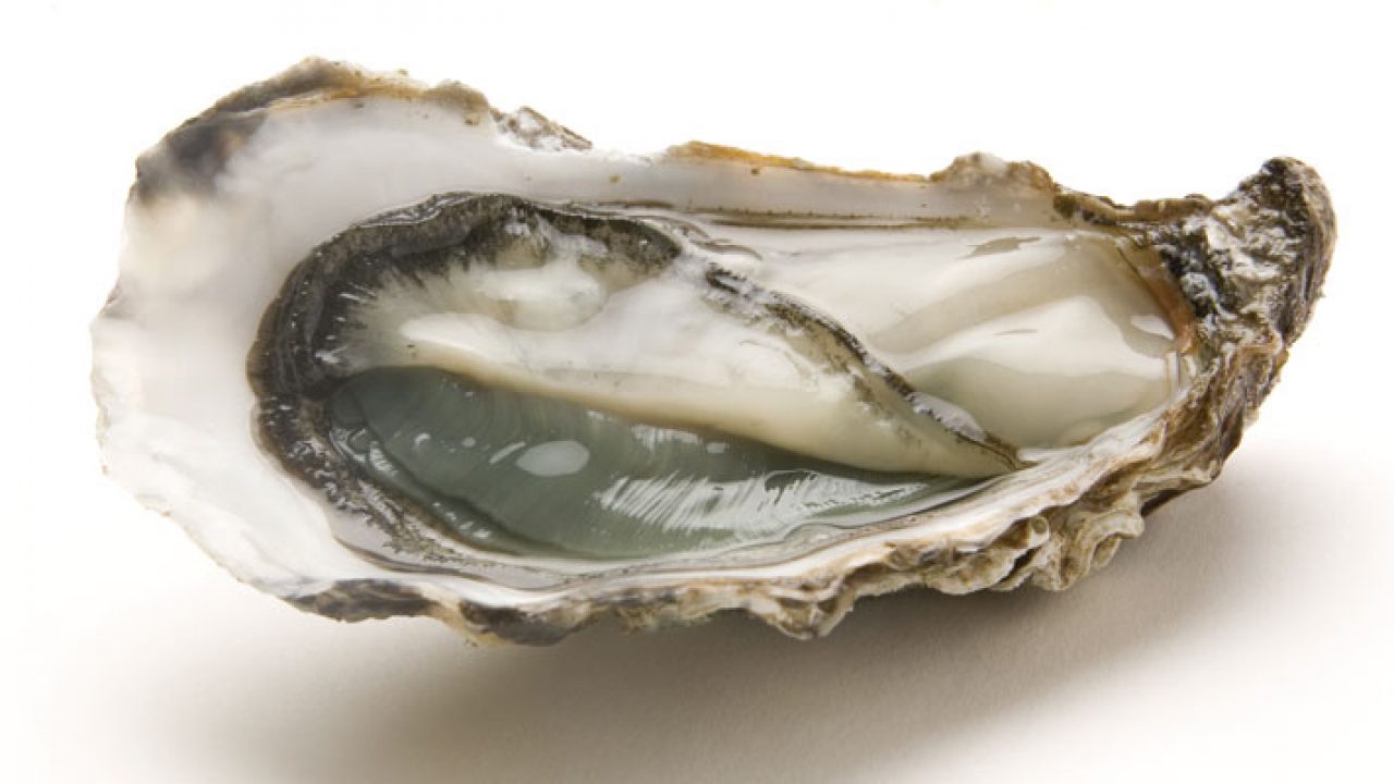 ¿Cómo reconocer las mejores ostras?