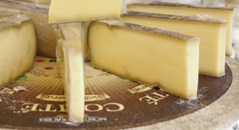 Las mejores tiendas de queso de España