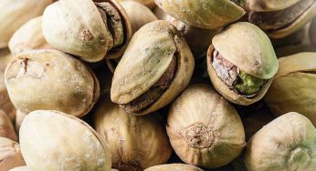 El enemigo de los frutos secos: aflatoxinas