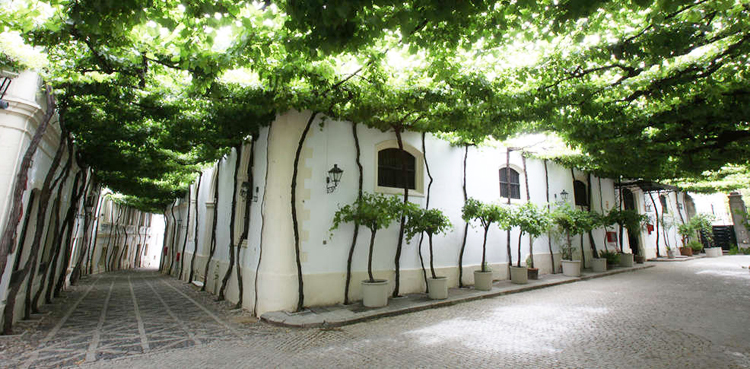 Bodegas González Byass