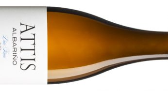 Attis Lías Finas 2017, albariño con acento exótico