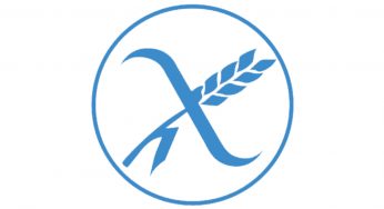 Mitos y verdades sobre el gluten