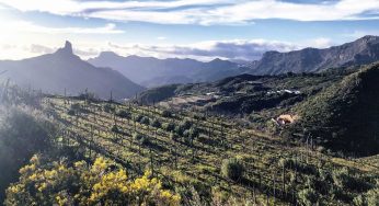 Cinco pistas gastronómicas en Gran Canaria