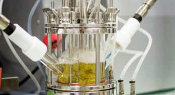 Schweppes reinventa el proceso de reciclaje
