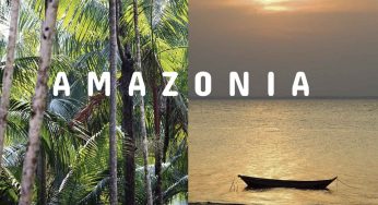 Amazonia, la gran despensa