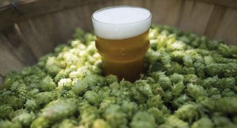 Las cervezas IPA toman España
