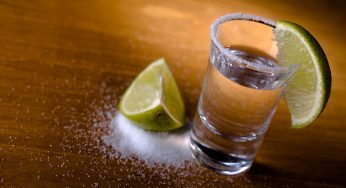 Diccionario del tequila y el mezcal