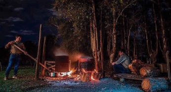 ¿Cómo es la matanza del cerdo en Argentina?