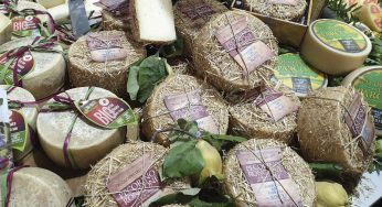 Slow Food Cheese 2019, el festival de los quesos