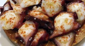 En Lugo para comer, pulpo
