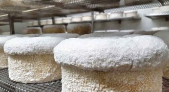 Diez quesos tradicionales españoles que hay que conocer