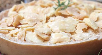 Los mejores quesos para comer esta Navidad