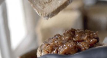 Bocadillo de pulpo con tendones