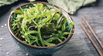 Cocinar con algas: 10 variedades imprescindibles