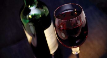 Lo que hizo el vino que no lo destruya el hombre