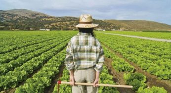 El sector agroalimentario lucha, resiste y se reinventa