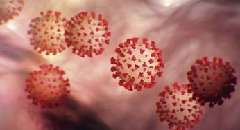 ¡Mi despensa en cuarentena por coronavirus!