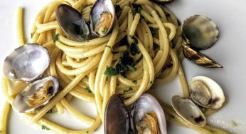 ¿Cómo elegir y cocinar la mejor pasta?