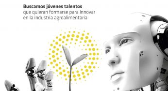 Se buscan jóvenes talentos. Campus Innovaction COVAP