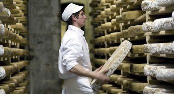 Los 10 mejores quesos franceses